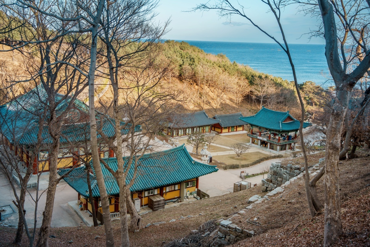 "바다와 산을 한눈에 담는 최고의 힐링"… 동해 대표 명소 추천 4 동해