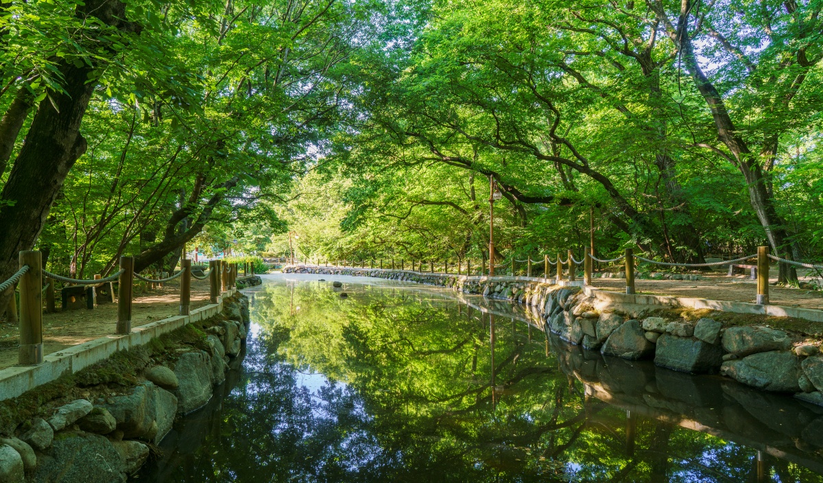 여름