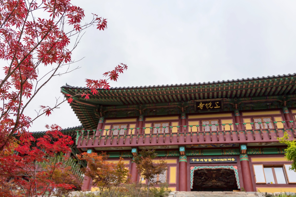 "선선한 숲길 걷는 산사"... 특별한 여름 풍경 여행지 5 산사