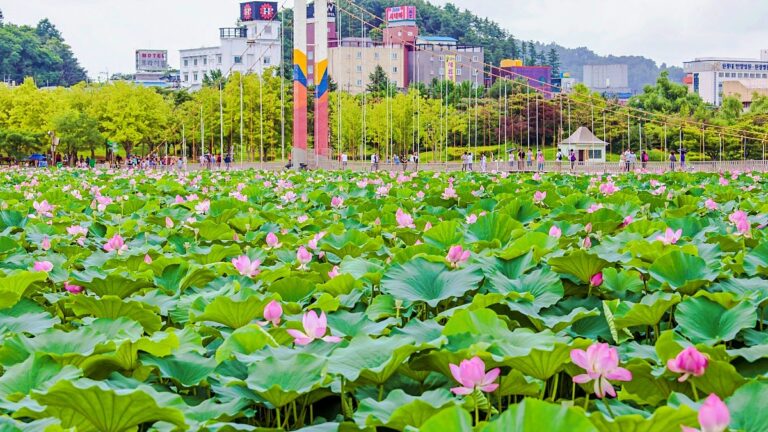 덕진공원