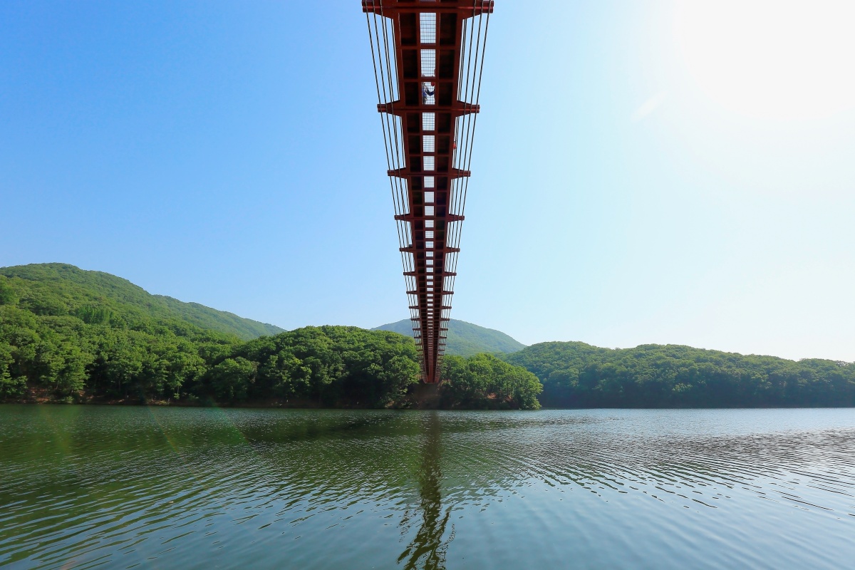 "무료로 숲길·호수·스릴까지 한 번에 즐긴다?"... 요즘 뜨는 수도권 출렁다리 여행 5 출렁다리