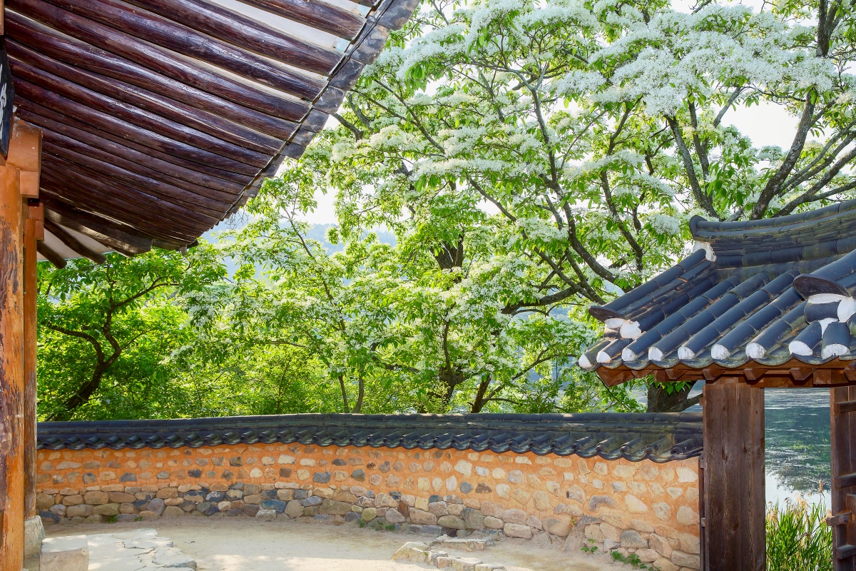 호수