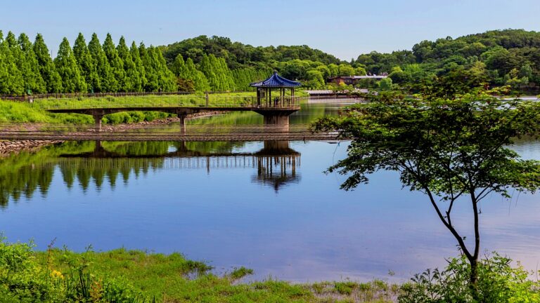 서울대공원