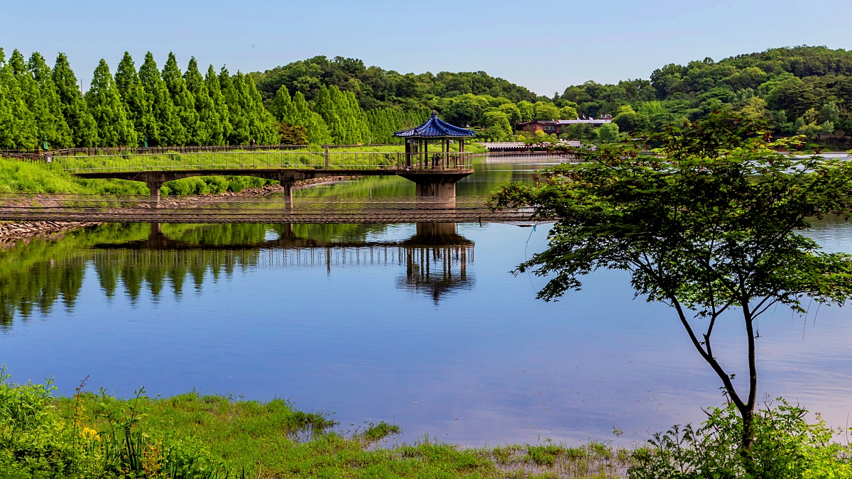 서울