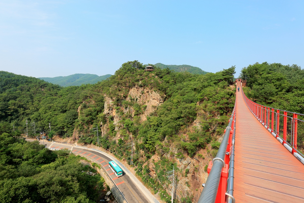 출렁다리