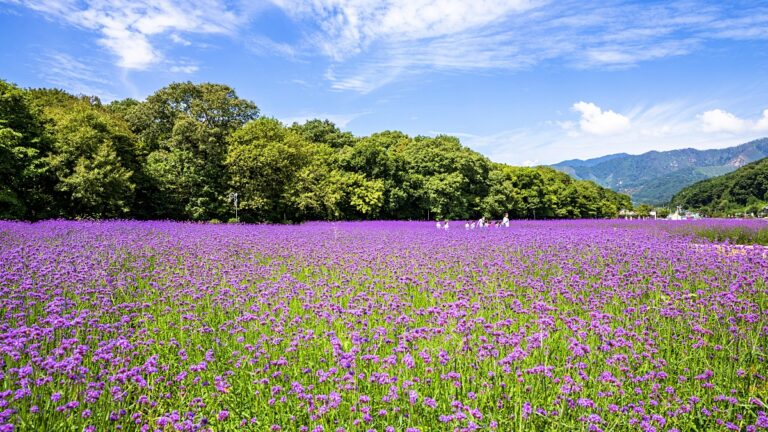 상림공원