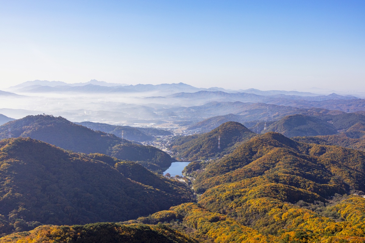 출렁다리