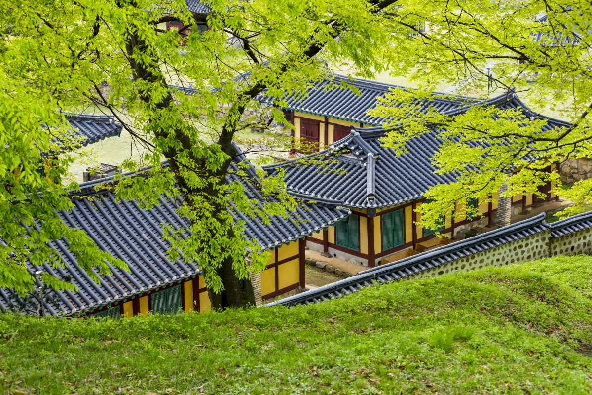 야경