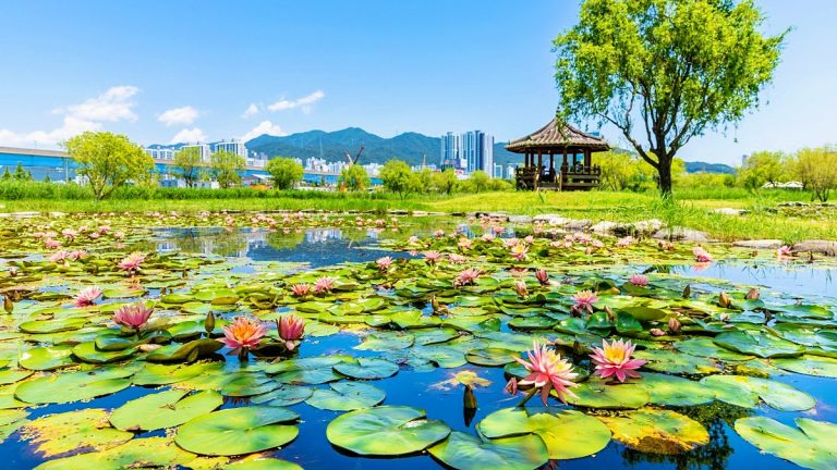 삼락생태공원