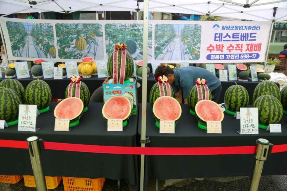 여름