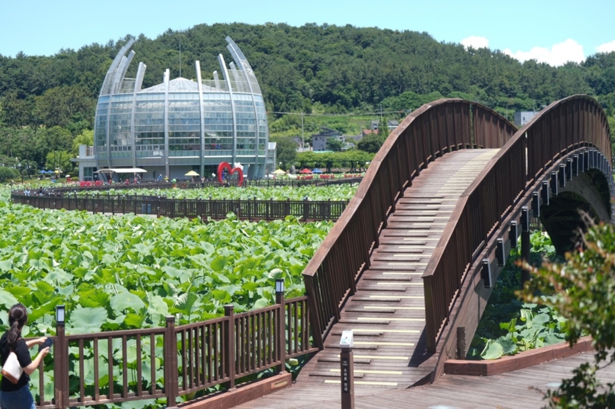 꽃망울