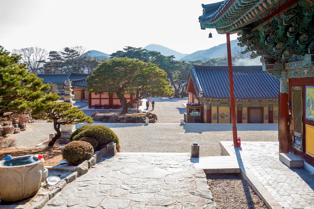 "공원 말고 이곳으로 갑니다"… 천년 고찰의 기와지붕 아래 피어난 '차분한 보랏빛'의 정체 3 고찰