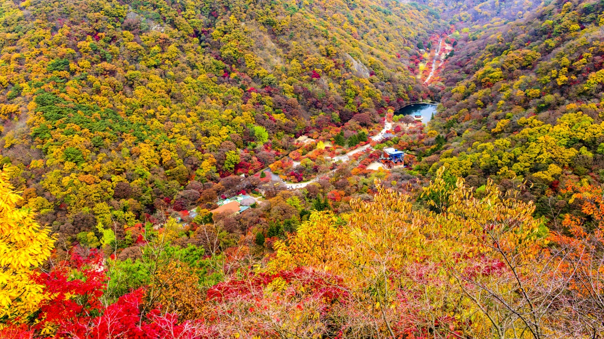 대박