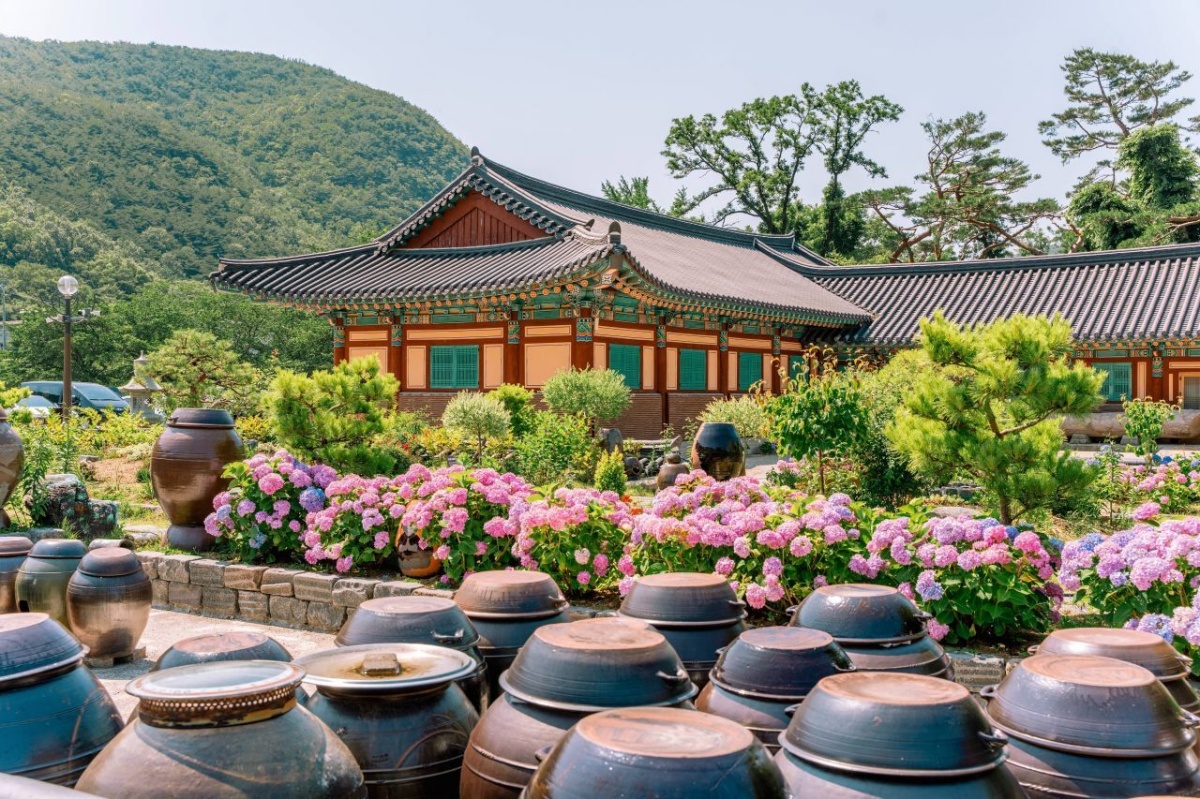 "공원 말고 이곳으로 갑니다"… 천년 고찰의 기와지붕 아래 피어난 '차분한 보랏빛'의 정체 1 고찰