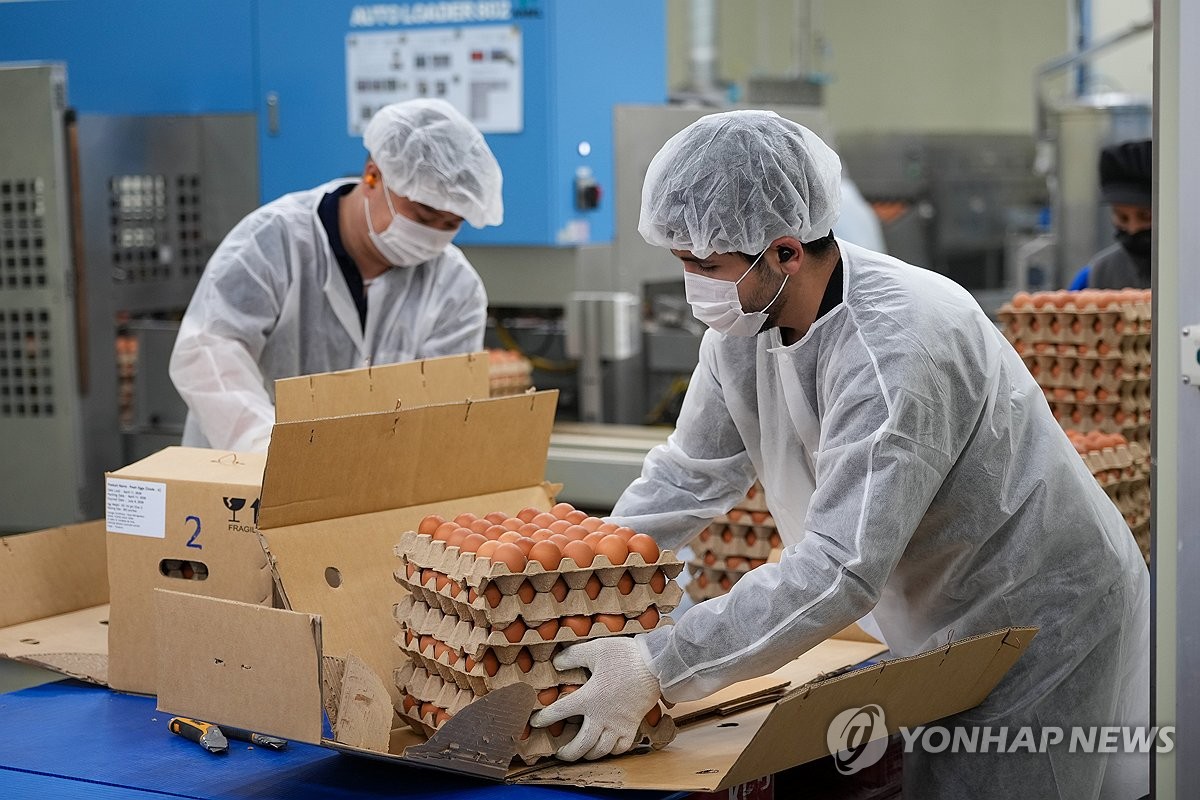 재정으로 채운 수급 공백