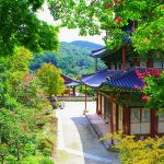 금산사
