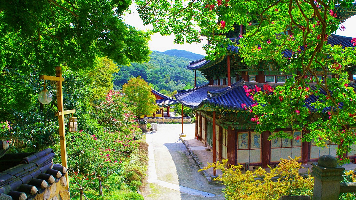 "붉은 배롱나무와 국보가 만났다"… 여름 전북의 숨은 명소 1 배롱나무