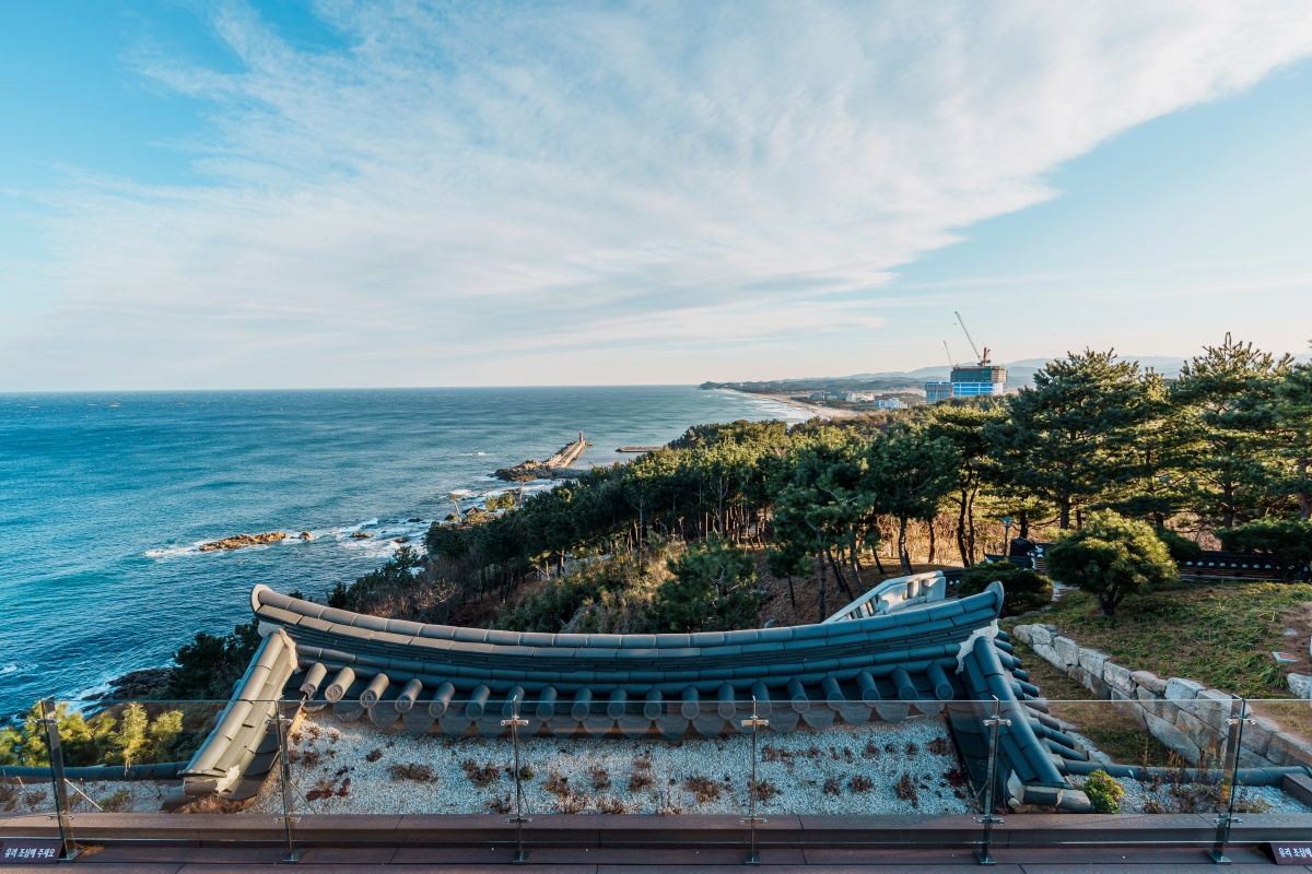 "여긴 사진보다 직접 봐야 한다"… 동해를 한눈에 담는 절경 2 동해