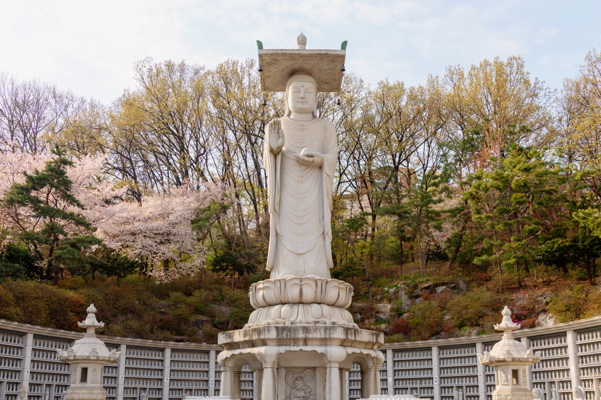 강남