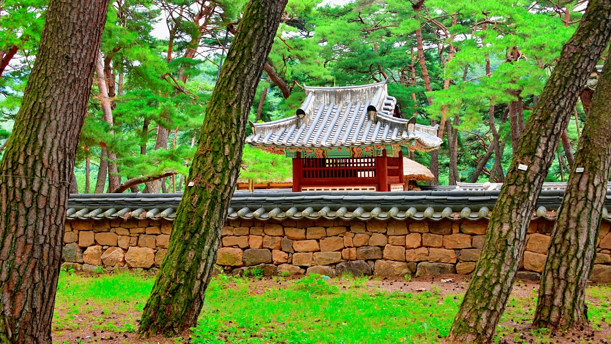 "단 2분의 뱃길"… 시간을 거슬러 만나는 단종의 역사 여행 1 단종