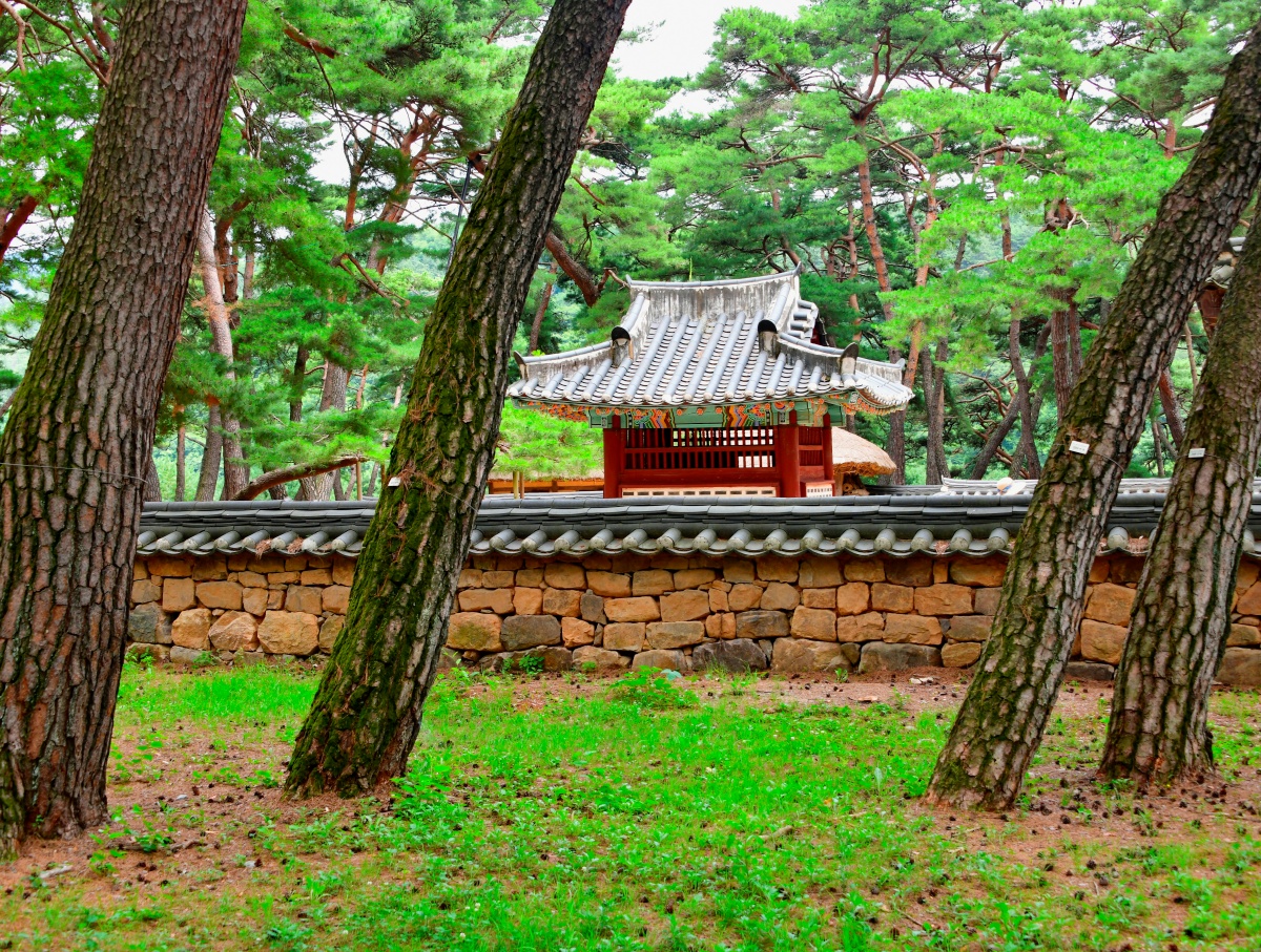 역사