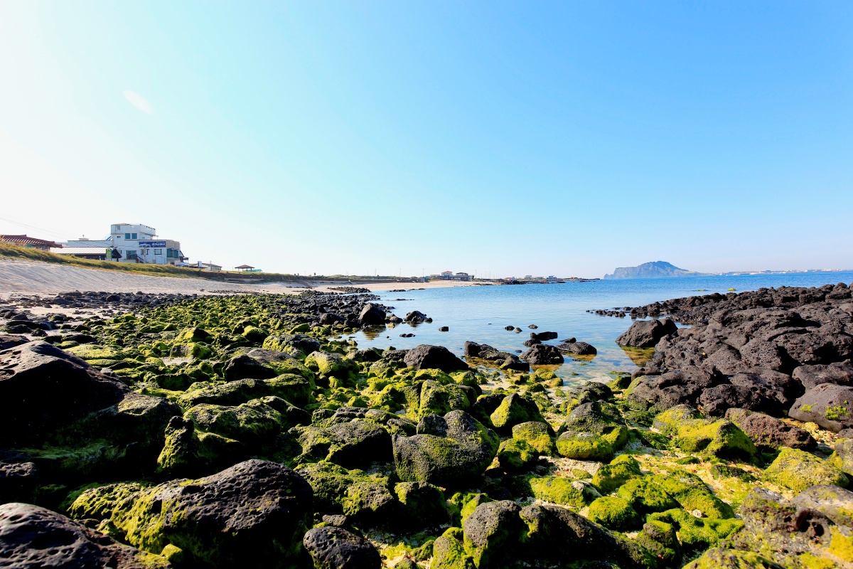 해변