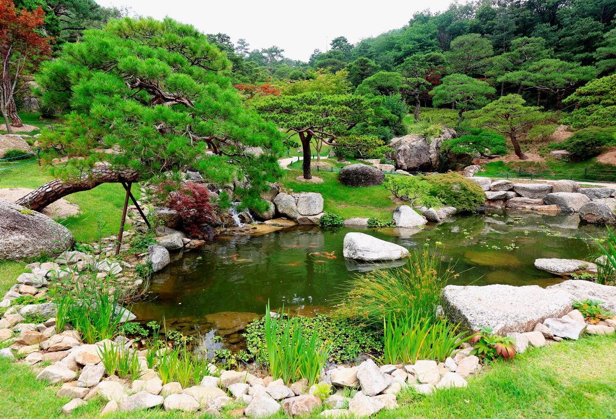 "예약 경쟁 이어지는 이유"… 여름이면 다시 찾게 되는 힐링 숲 명소 4 숲