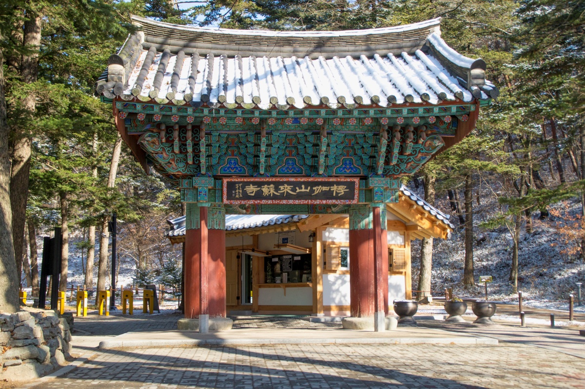 전나무
