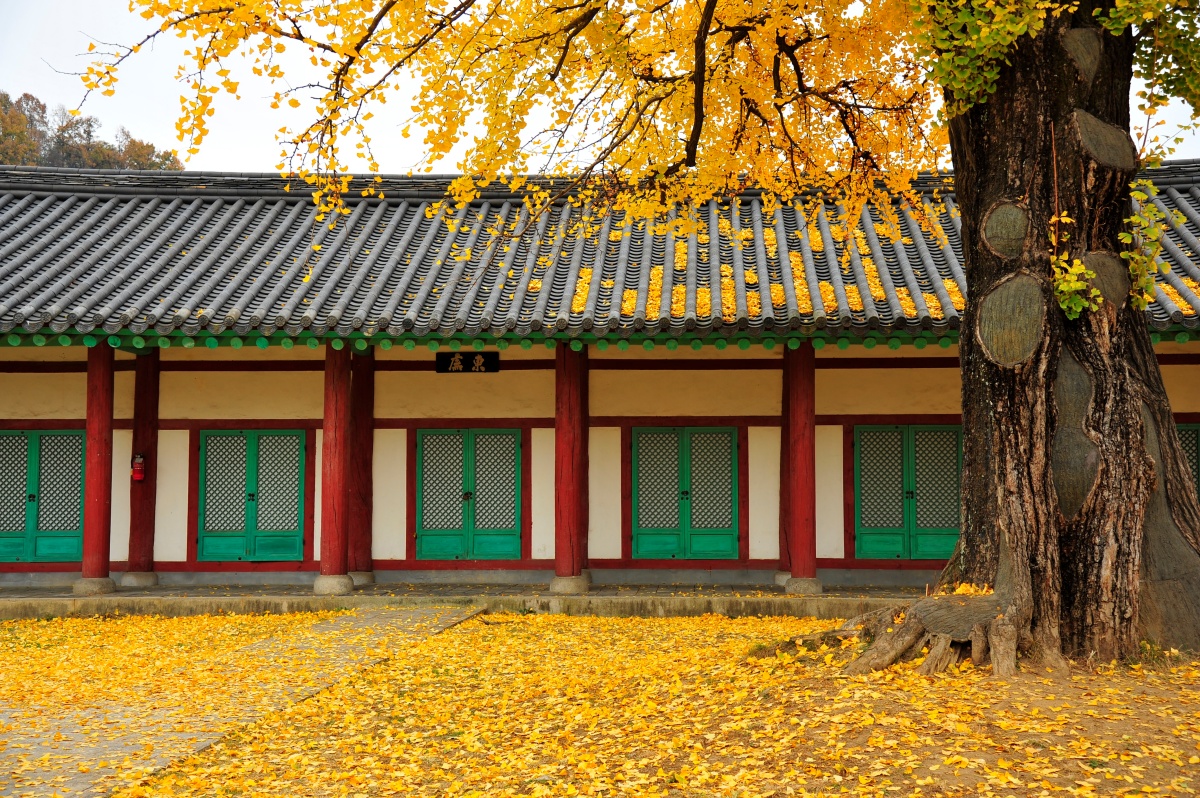 "한옥마을만 보고 돌아오기엔 아쉬운"... 전주의 숨은 문화유산 2 전주