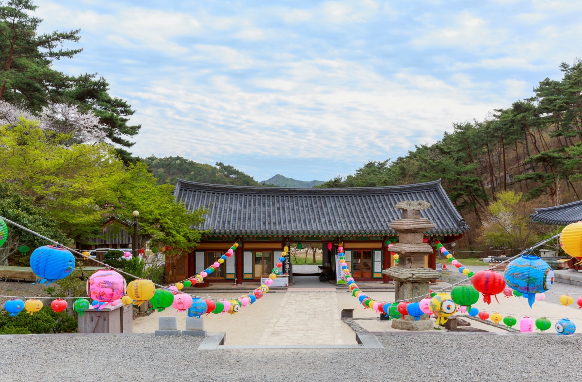 "붉은 배롱꽃과 천년 사찰"… 올여름 꼭 들러야 할 숨은 명소 2 사찰