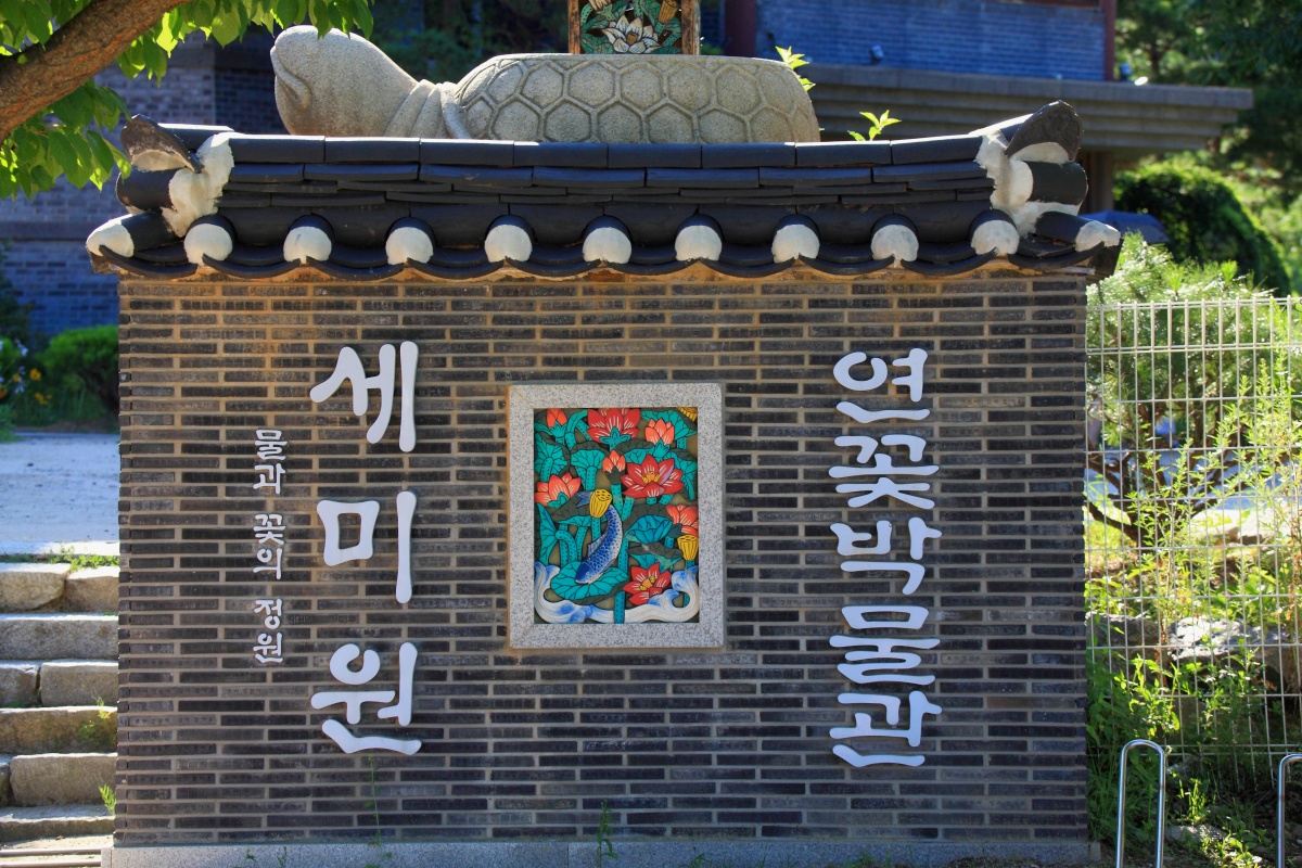 "서울 근교에서 연꽃 데이트"… 박물관과 축제까지 품은 여름 명소 3 연꽃