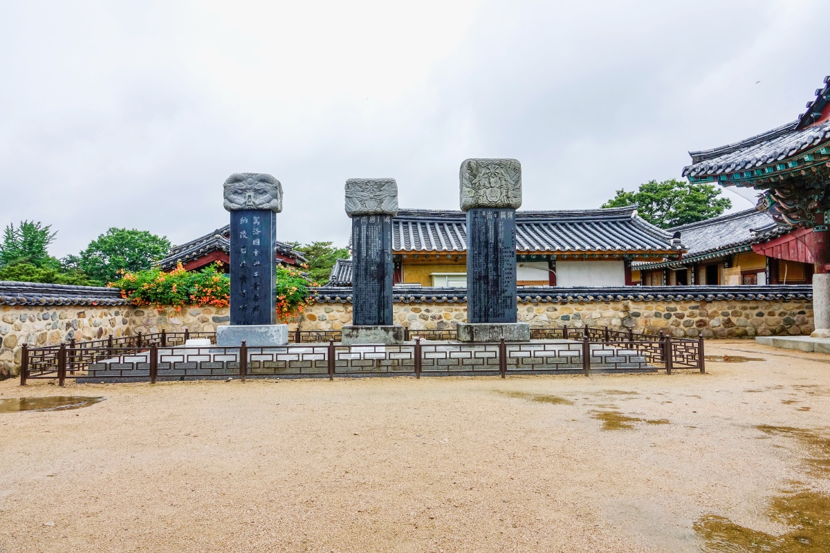 "지금 놓치면 1년을 기다려야 하는 풍경"… 돌담 따라 물든 여름 능소화 5 능소화