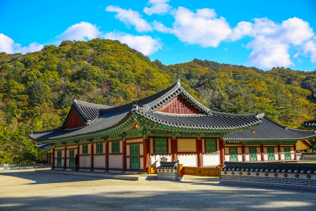 "숲과 계곡과 사찰을 한번에"... 7월 꼭 가봐야 할 시원한 여행 4 계곡