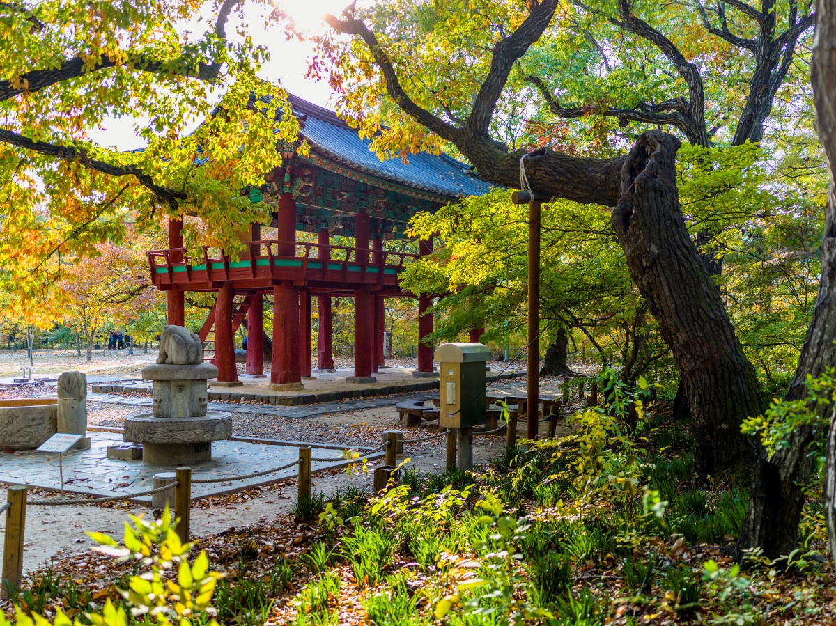 "여름꽃 절정 시작"… 버베나·해바라기 한 번에 만나는 꽃길 명소 4 버베나