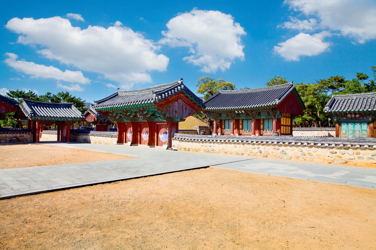 능소화