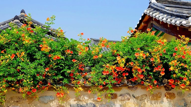 김해수로왕릉