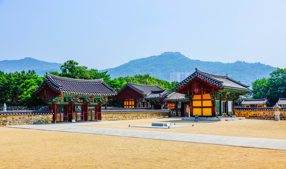 "지금 놓치면 1년을 기다려야 하는 풍경"… 돌담 따라 물든 여름 능소화 4 능소화