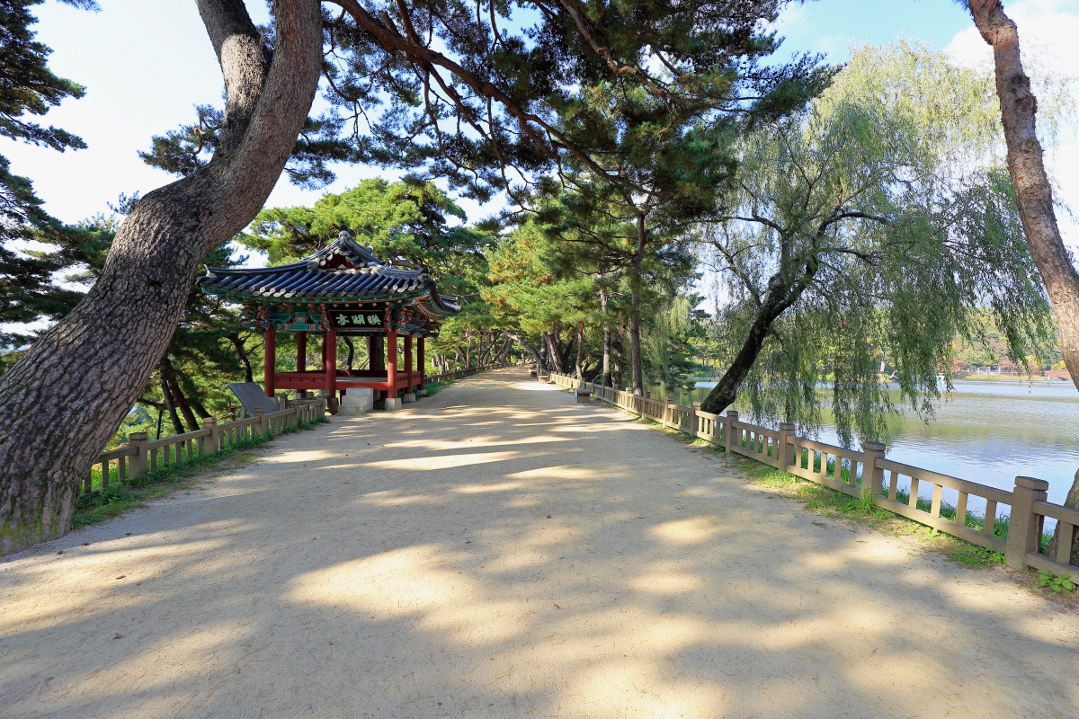 호수