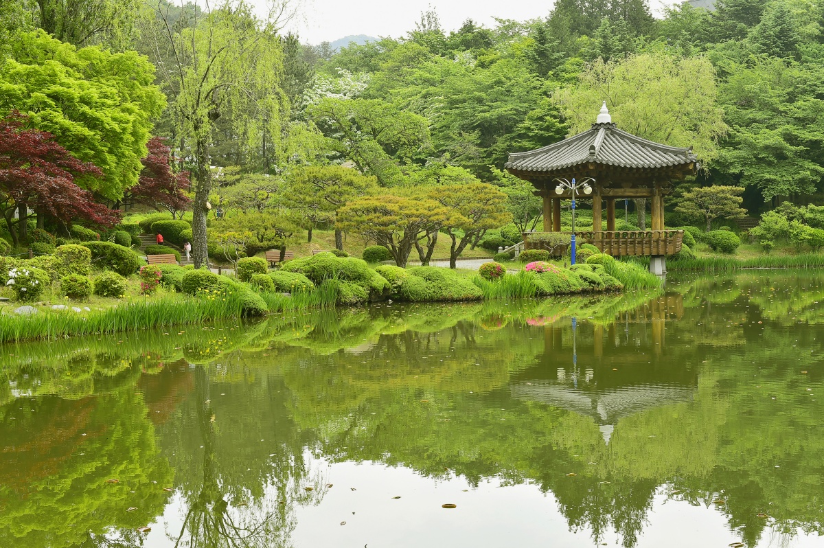 "사진작가들이 계절마다 찾는 이유"… 지금 가장 아름다운 경주 명소 5 경주