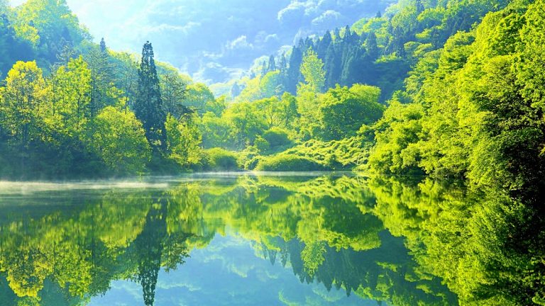 세량지
