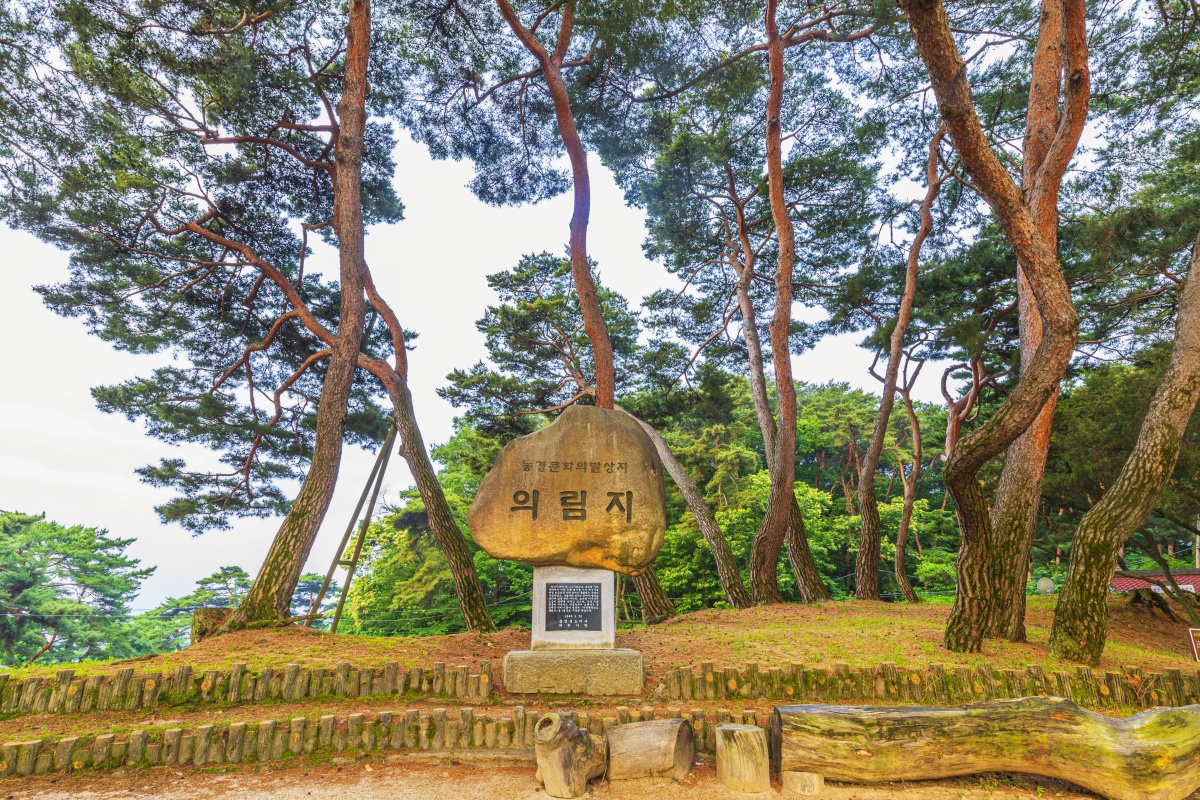 "입장료 0원으로 즐긴다"... 여름 최고의 호수 산책 명소 3 호수