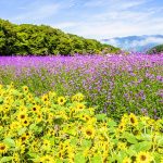 상림공원