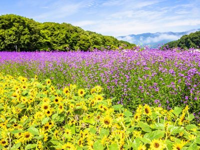상림공원