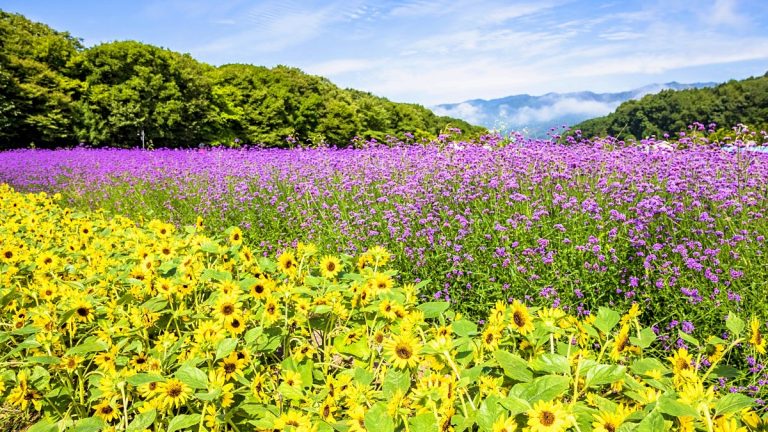 상림공원