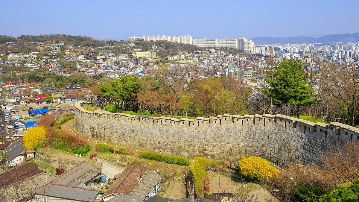 "서울 한복판에서 이런 풍경이"… 성곽 위 숨은 전망 명소 1 서울