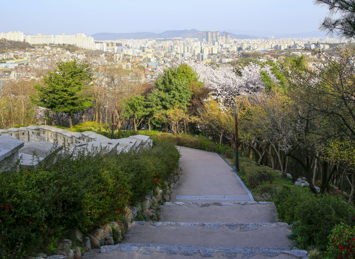 "서울 한복판에서 이런 풍경이"… 성곽 위 숨은 전망 명소 4 서울