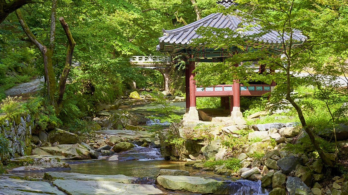동학사 계곡