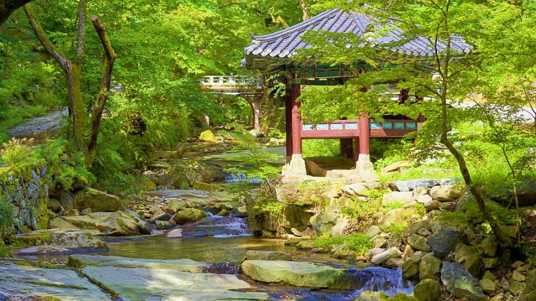 동학사