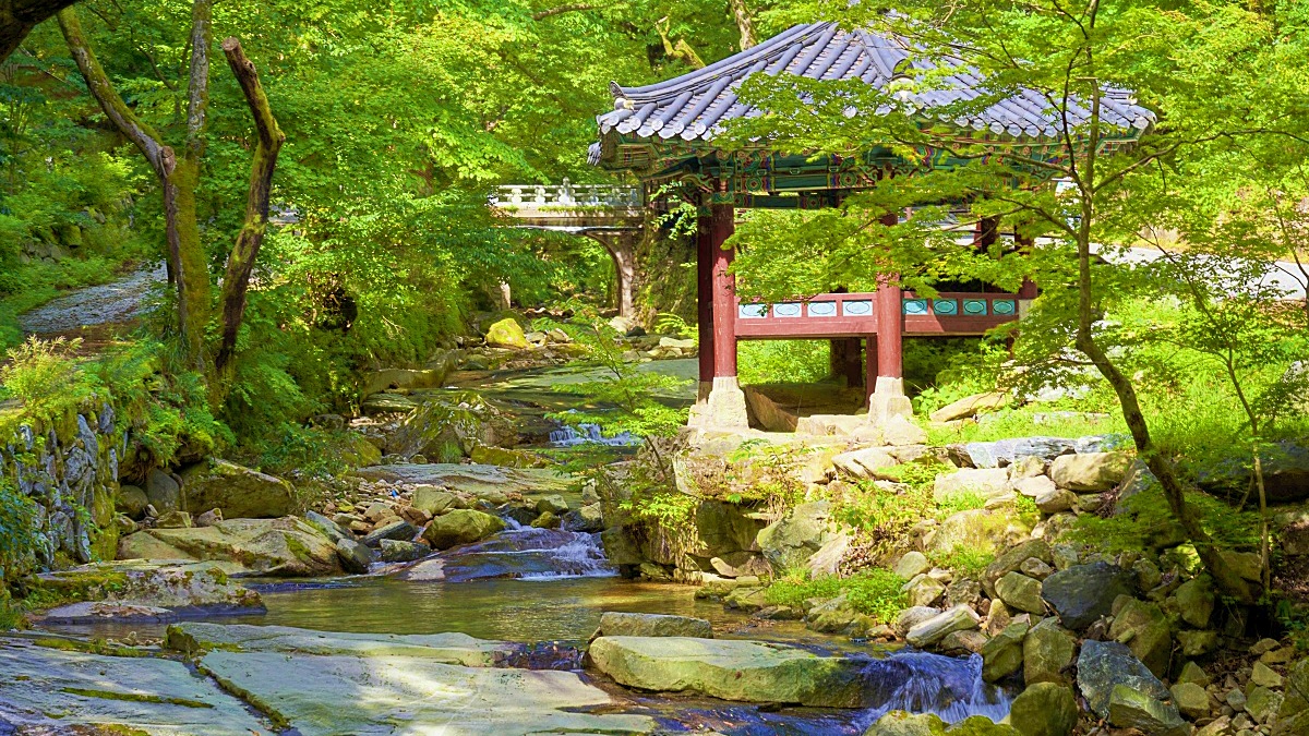 "계곡과 사찰, 드라이브까지"... 올여름 더위 피해 떠나는 코스 1 계곡