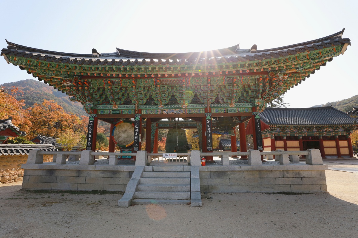 "유네스코가 인정한 사찰"… 충북 여행에서 반드시 들러야 할 명소 2 충북